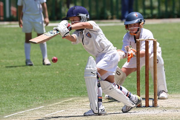 Cricket A Game of Skill Passion and Tradition