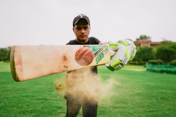  The Eternal Game of Cricket